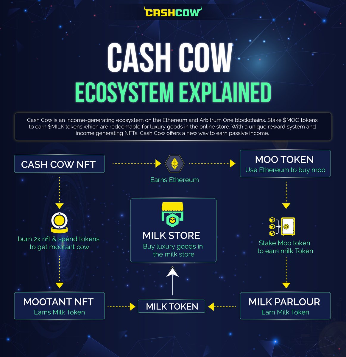 Our Ecosystem Explained