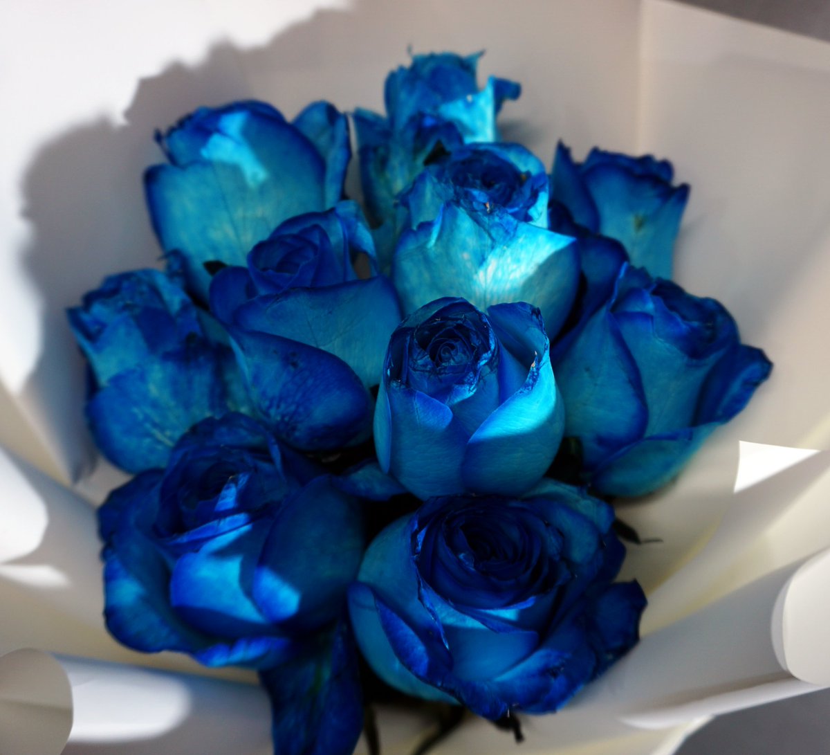 이그드라실 on Twitter: