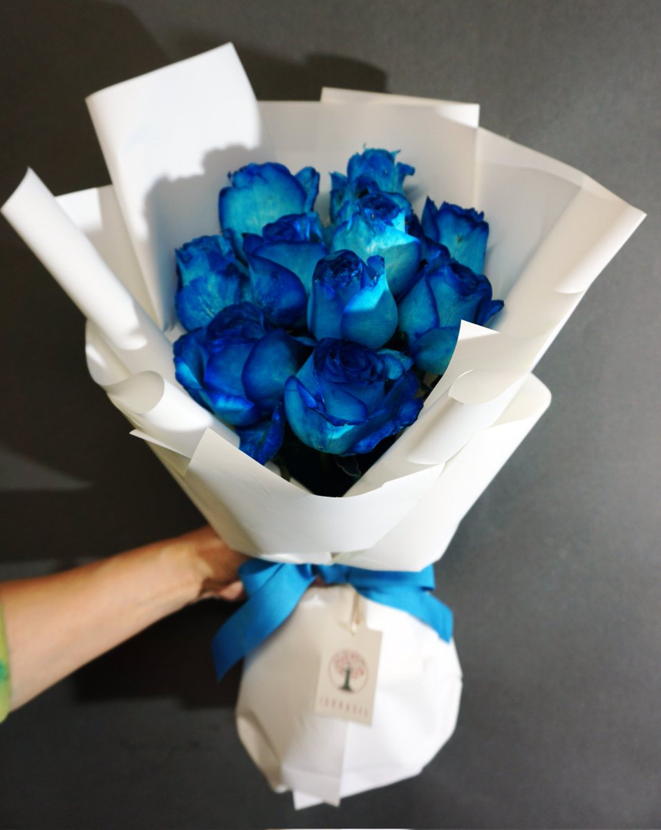 이그드라실 on Twitter: