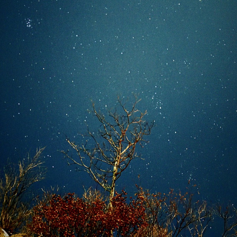 SamsungMobile's tweet photo. There’s no dark side of the moon with the #GalaxyS23 Ultra. Capture your night skies and share with us by replying to this thread with #SharetheEpic.

Learn more: https://t.co/gRKZn977x0