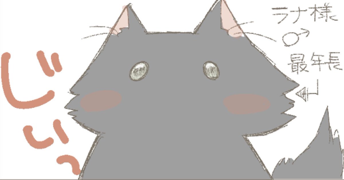 【宣言！】我が家のにゃんこ絵日記を週1回は描いてUPします！ゆるくいきます🥳こんなラナちゃんが出てきます、よろしくお願い致します。 https://t.co/ecucqyQegn