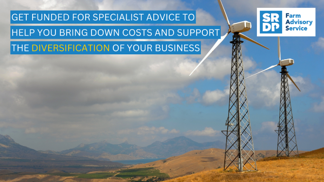 scotruralnet's tweet image. Are high energy and fertiliser prices affecting you? 💰 Access the @FASScot specialist advice services 
with up to £1k funding available per option. FAS can help you to bring down costs and support the 
#Diversification of your business 
ow.ly/Gtv250NHWzz #ScottishFarming