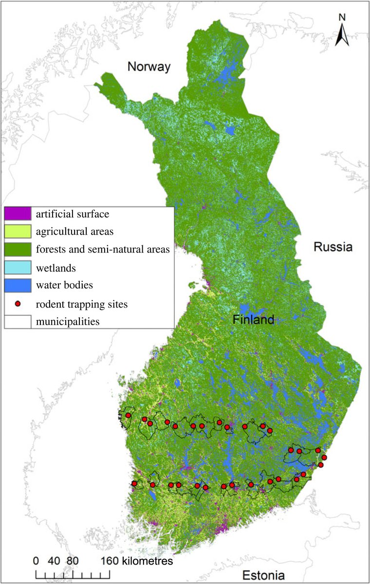 RSocPublishing's tweet photo. Impact of wildlife and environmental factors on hantavirus infection in bank voles and its translation into human risk - https://t.co/rSStLQZArG #ProcB #Zoonosis @YingyingWang18 @MahdiAminikhah @HuituOtso @SaneEpi @SironenTarja https://t.co/lrfFTLnCSX