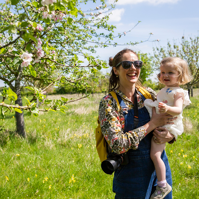 nationaltrust's tweet photo. Bee in Blossom.

Visit the National Trust website to find blossom near you. #BlossomWatch