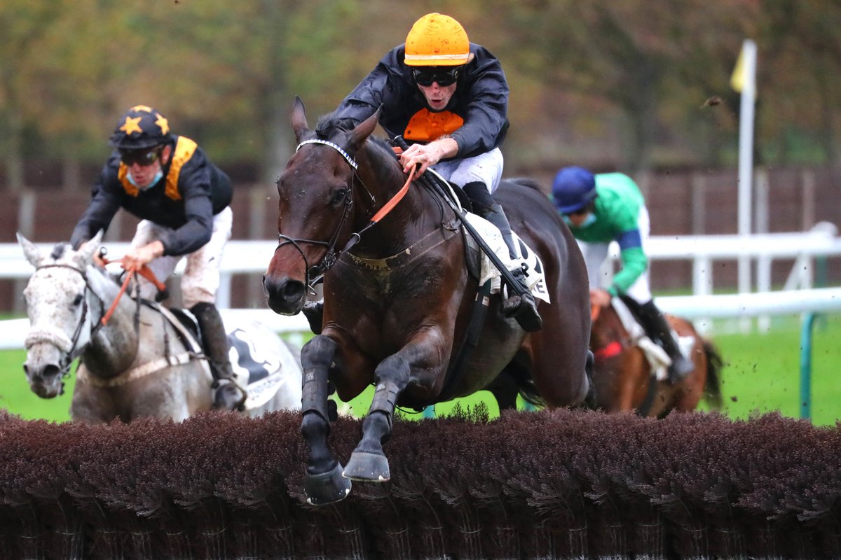 equidia's tweet photo. 🆕 Des nouvelles de 𝗗𝗼𝗰𝘁𝗲𝘂𝗿 𝗱𝗲 𝗕𝗮𝗹𝗹𝗼𝗻 et 𝗚𝗿𝗮𝗻 𝗗𝗶𝗼𝘀𝗲 😍

👉 En route pour le prochain #GrandSteepleChase de #Paris, le 21 mai. 🎙️𝗟𝗼𝘂𝗶𝘀𝗮 𝗖𝗮𝗿𝗯𝗲𝗿𝗿𝘆 (@CBloodstock) revient sur leur état de forme et leur programme ➡️ https://t.co/wMNWLbP2d6 https://t.co/JvEI6xoL5E