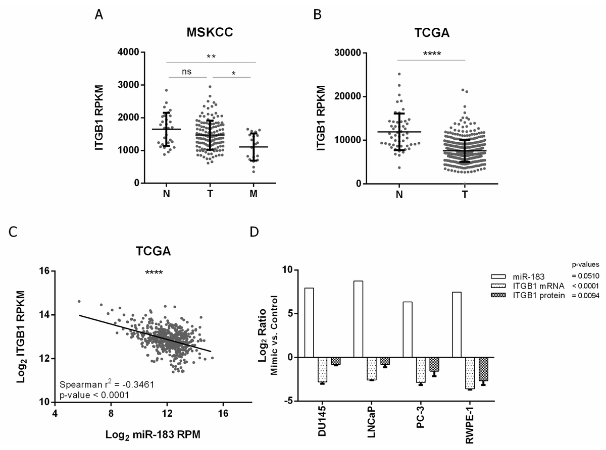 Non-Coding RNA tweet media