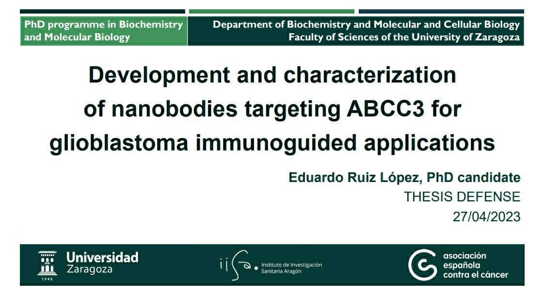 Excited to share that I am disserting my PhD thesis in only two weeks! 🥳🧬💊 Proud of the amazing work in #glioblastoma #glioma #nanobody #bbb #braintumor #neuroscience 
Thanks @ContraCancerZGZ @ContraCancerEs