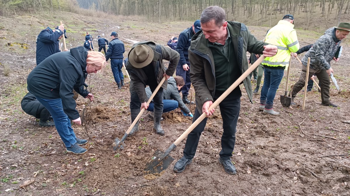 RNP_Romsilva's tweet photo. ℹ️ 🇷🇴 Acțiune de #împădurire cu voluntari la Direcția Silvică Sălaj din cadrul #Romsilva

ℹ️ 🇬🇧 #Afforestation works with volunteers at #Sălaj #Forest Directorate, in #Romania   

#forests #nature #păduri #pădure #silvicultură #ForestryWorks #forestry #nature #natură https://t.co/VEmJYxXgO4