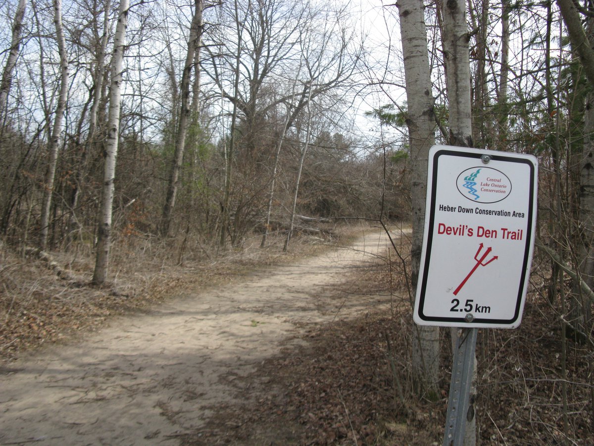 newman_goodmoon's tweet photo. @LadyLeo1976 Devil's Den Trail #CLOCA https://t.co/UfzwHZVhQh