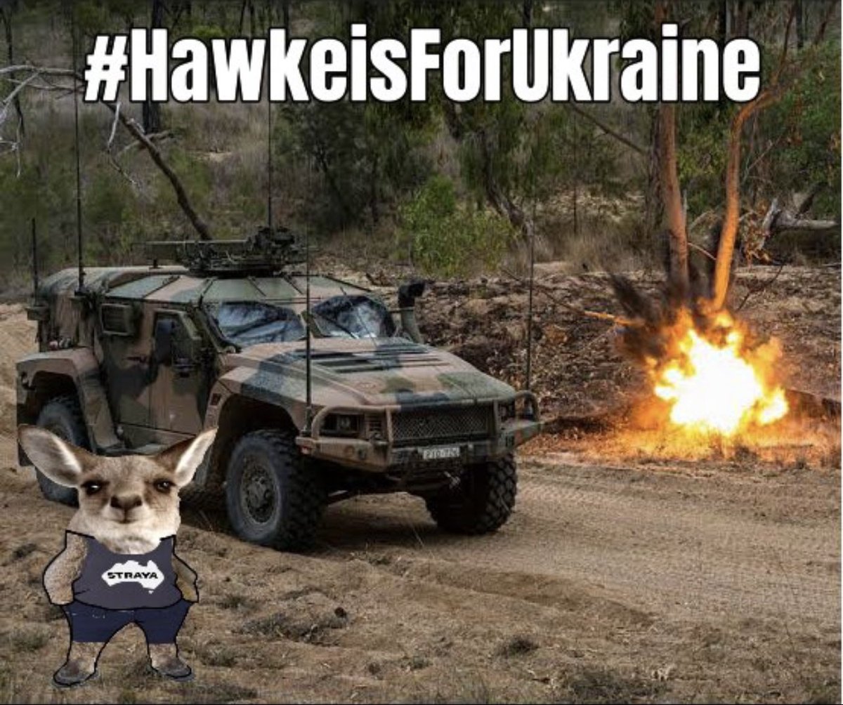 allisonhare's tweet image. #ReleaseTheHawkei 
#StandWithUkraine #HelpUkraineNow @AlboMP @RichardMarlesMP @ABCaustralia