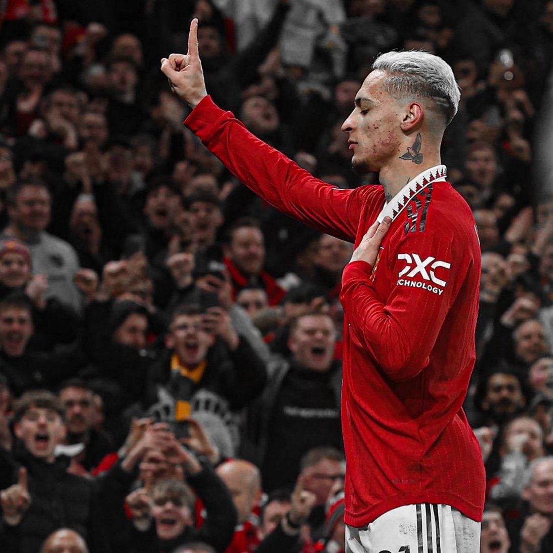 (fan) Trey tweet media