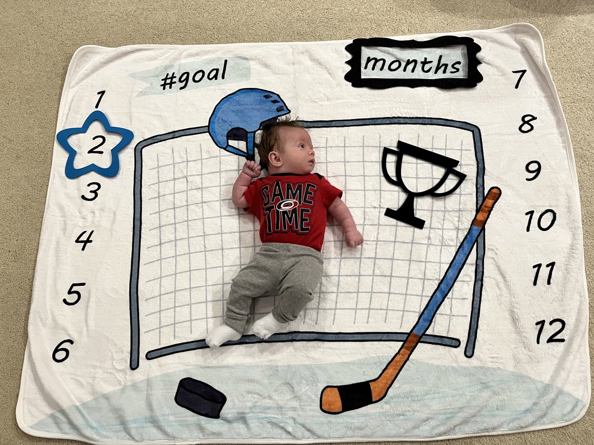 Fuzzyfurr's tweet photo. #TinyHugeCaniac is 2 months old today!  He is ready for the last regular season @Canes game and as you can see he has his eyes on the cup! #WayTooFast #LetsGoCanes https://t.co/786cqUcKRb