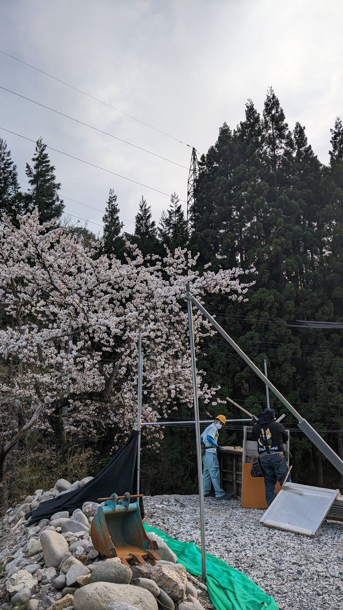 GLAMPiC_286's tweet photo. サバゲーフィールドにも桜🌸
オープン前作業、いつも手伝って下さっているおふたり。
ありがとうございます〜🥺🙏✨ https://t.co/vMMt3VWy2X