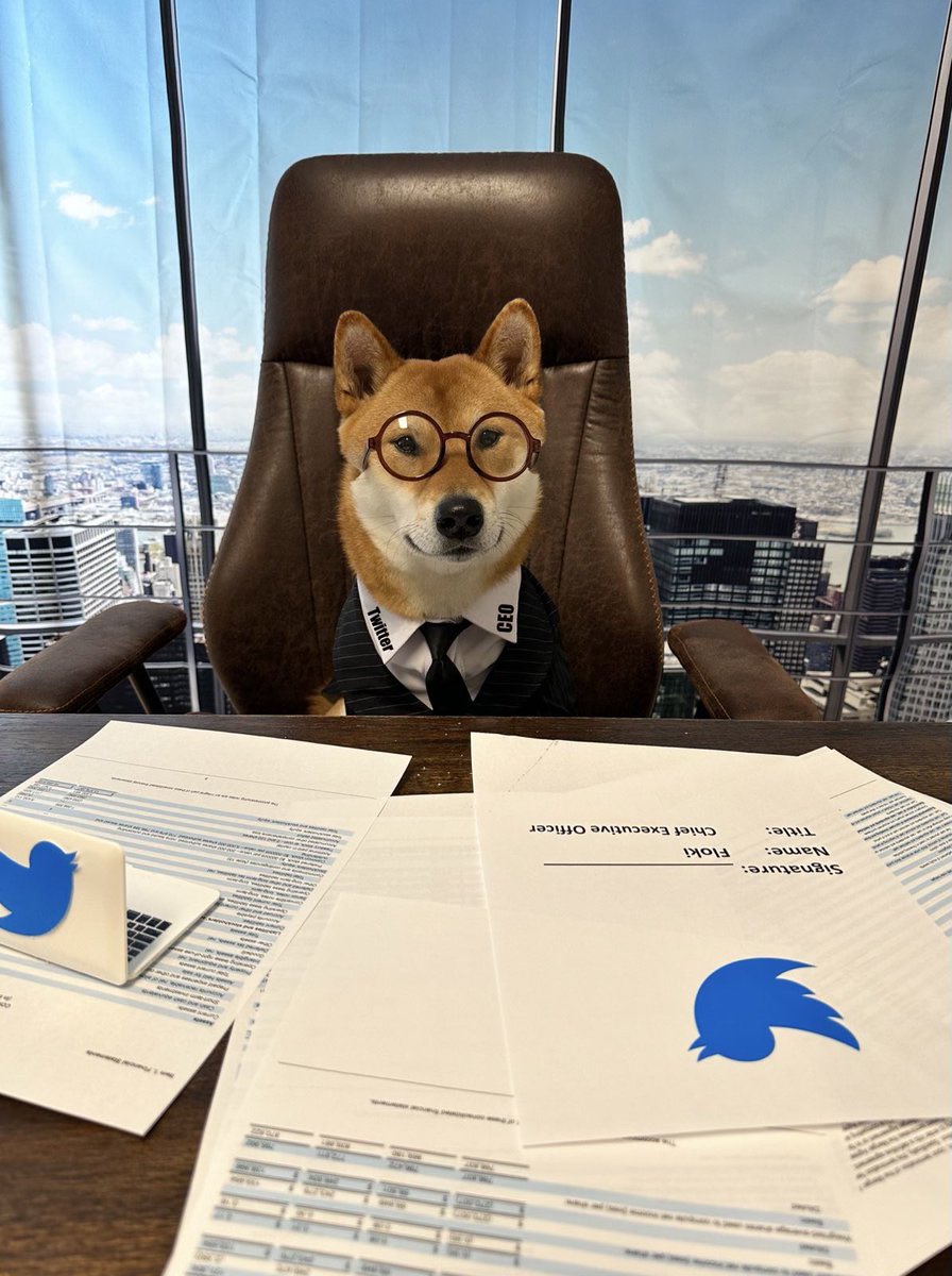 The new CEO of Twitter is amazing- $FLOKI

Twitter to let users trade #Bitcoin  and crypto starting today in partnership with eToro

<a href="/elonmusk/">Elon Musk</a> in an interview with the BBC, “I keep telling you I’m not the CEO, my dog is the CEO of Twitter.”

Bullish on $floki