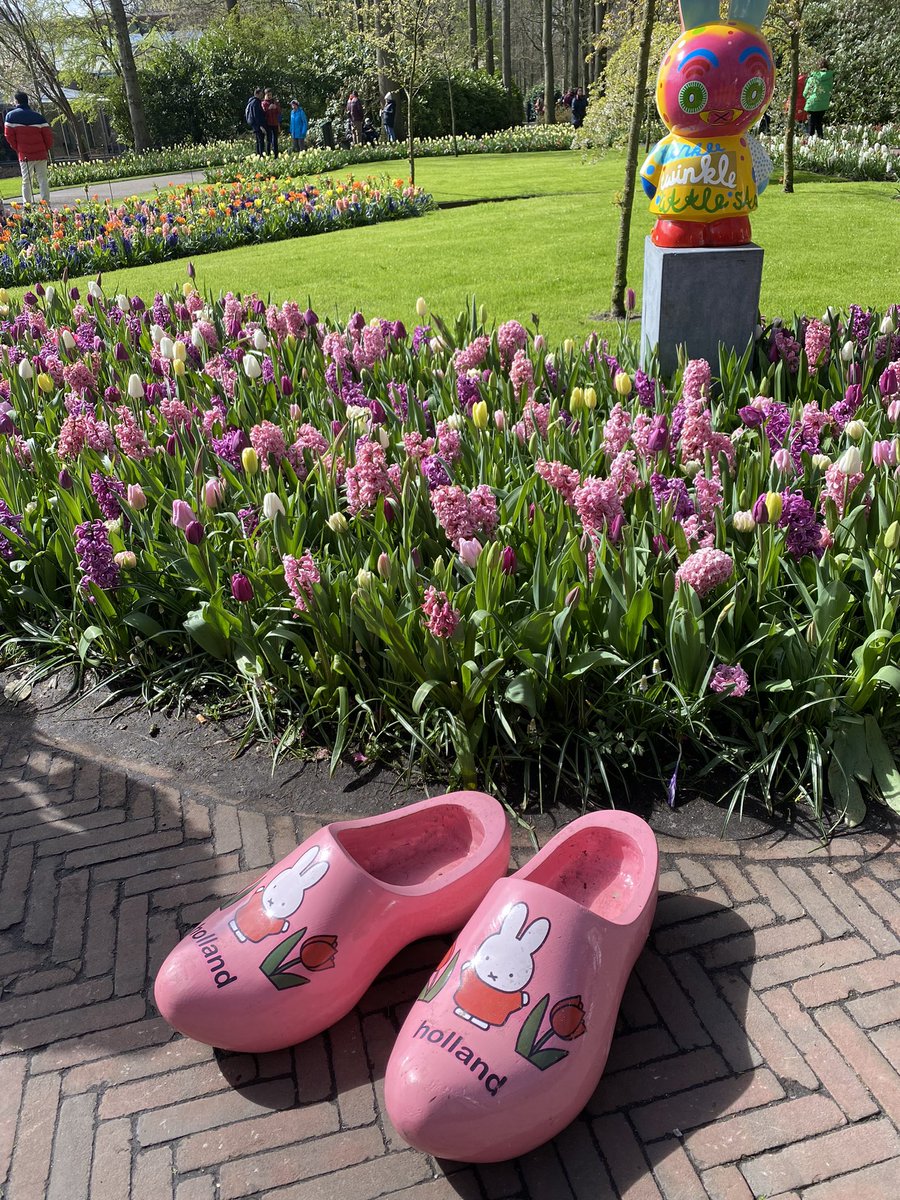 insanemum1's tweet photo. #MakingMemories but a happy teen would rather be sleeping,time to explore #nochemo #livingwithbraintumour #noahsjourney #noahsretreat #familytime #holland #loveatulip https://t.co/zBMigginIn
