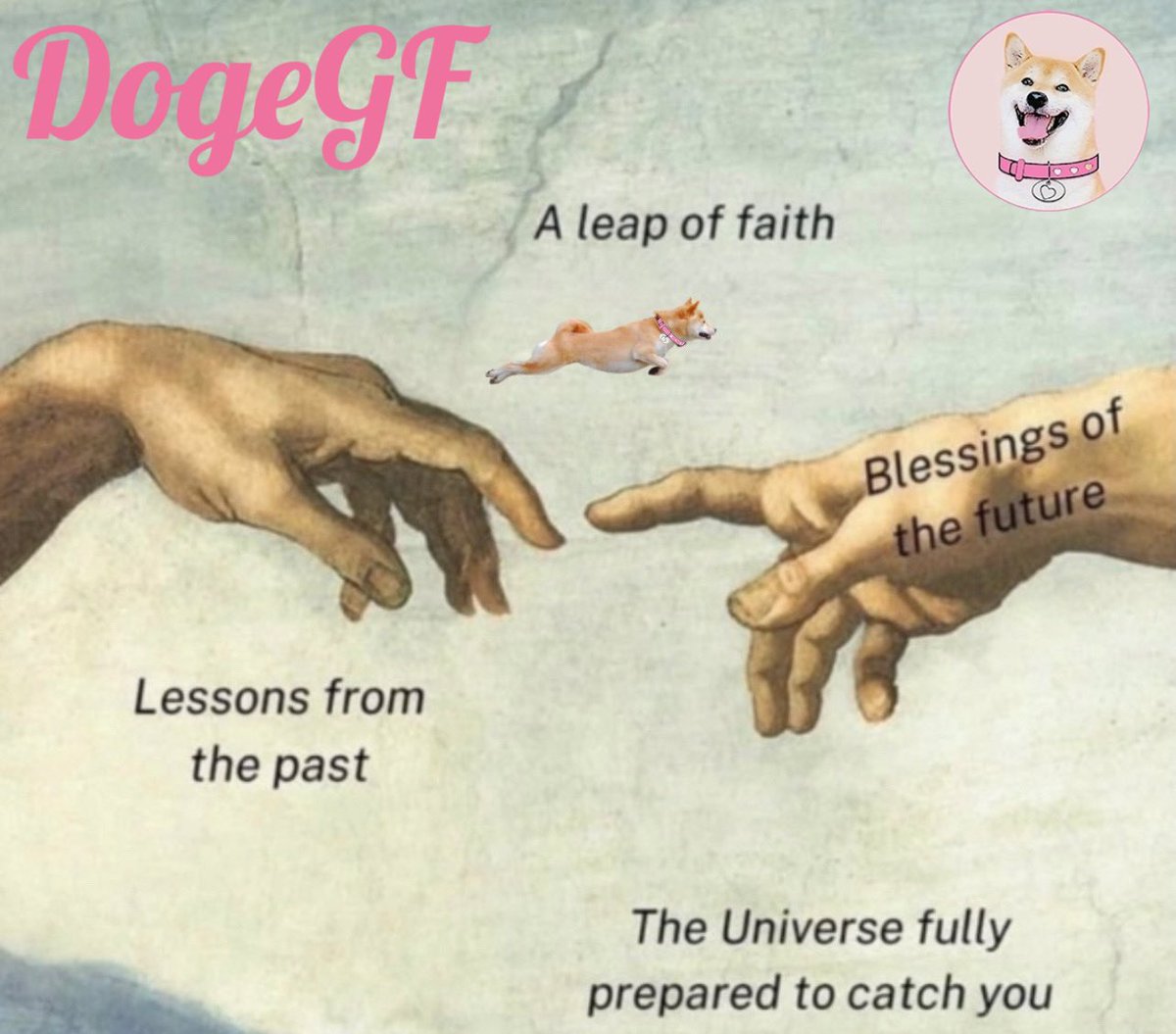 DogeGF69's tweet photo. #DogeGF #eToro #Twitter #ELON #Crypto #ETH ❤️❤️❤️ @elonmusk @dogegftoken @BillyM2k @carlmoon @dogeofficialceo @itsALLrisky @cb_doge https://t.co/Bxi5qqcHlC