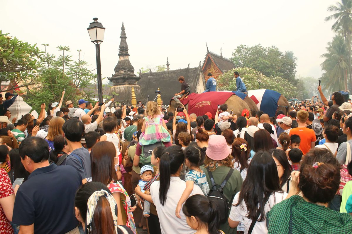 LaotianTimes's tweet photo. An #elephant procession comprising of three elephants was held today in the #UNESCO World Heritage town of #LuangPrabang as part of #LaoNewYear festivities.
The parading of elephants into villages is believed to bring good luck and prosperity during the #newyear. https://t.co/JLznbr6oPb