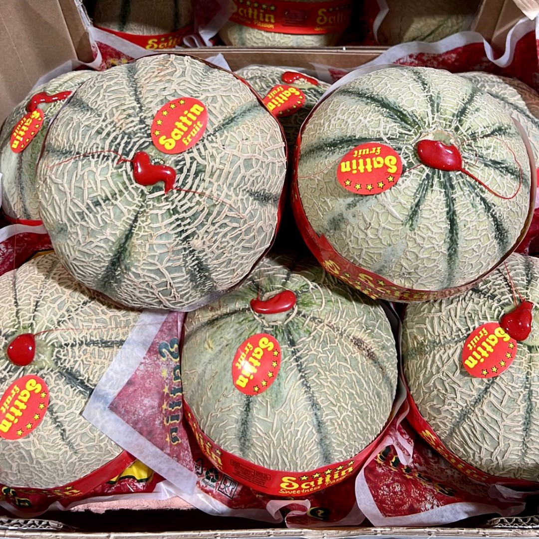 rushtonsgrocer's tweet photo. Fresh delivery of deliciously sweet Italian cantaloupe!
#Rushtons #thechefsgreengrocer #wholesale #catering #hospitality #restaurant #chef #londonsupplier #seasonalproduce #NCGM #italianproduce #cantaloupe https://t.co/CxqIXzOEtB
