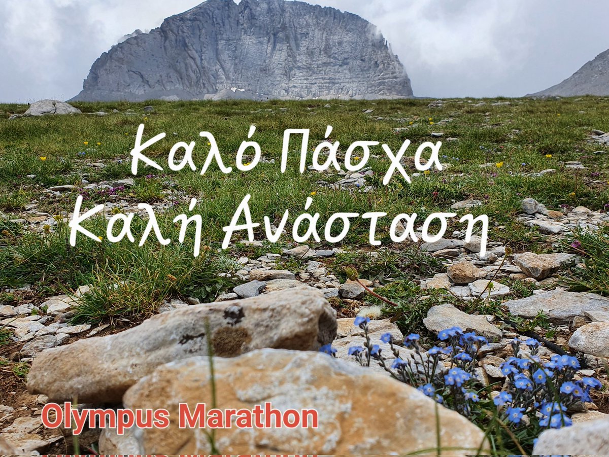Olympus Marathon tweet media