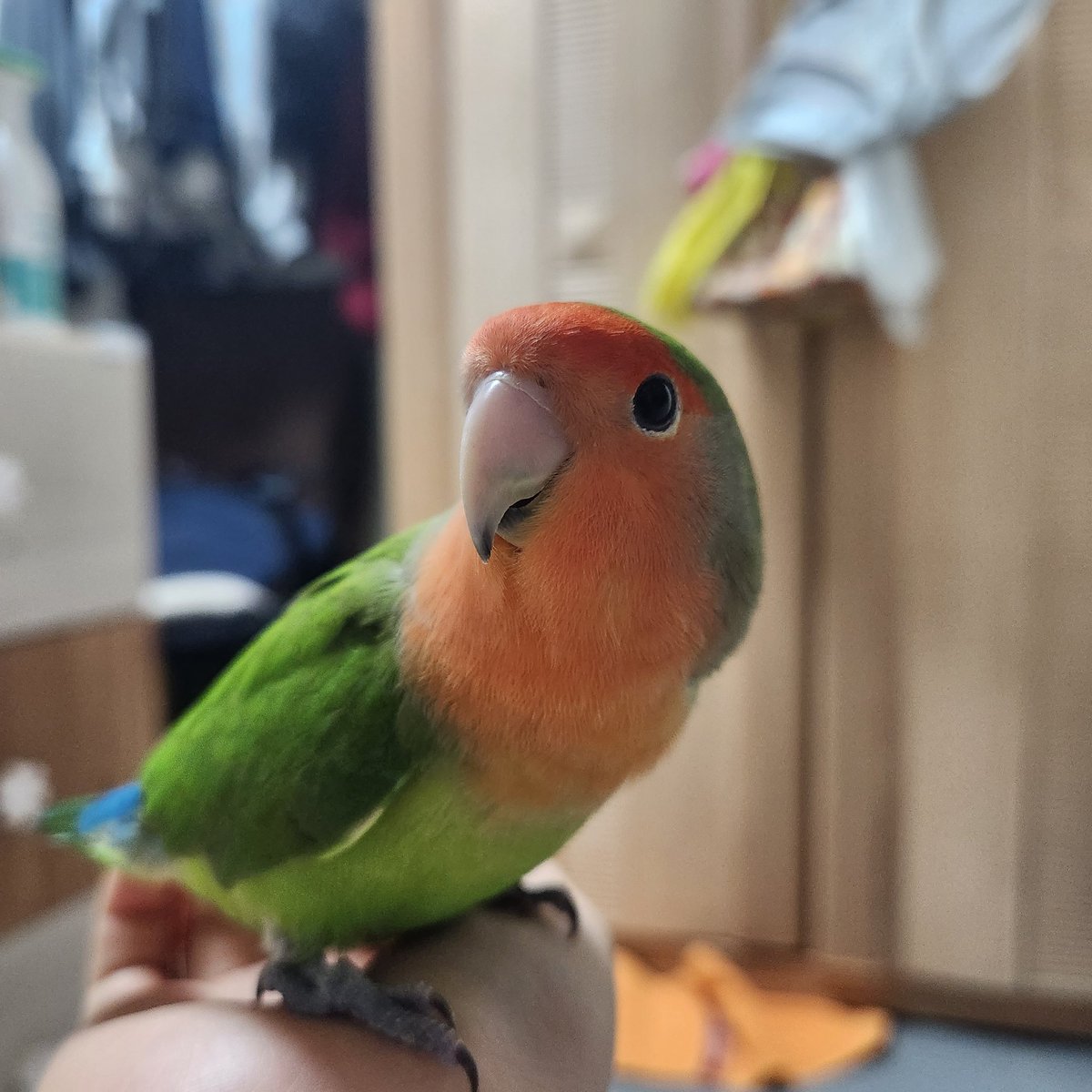 당신의 발톱 많이 길었군요...
어디한ㅂ..
눈치가 빠르시군요...