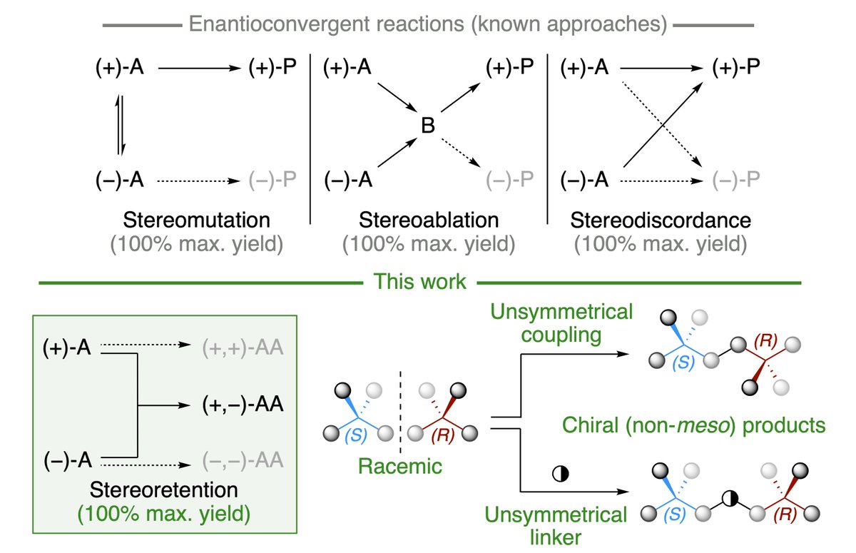 Check out our new pre-print that shows you don’t need labile stereogenic units to achieve stereoconvergency! doi.org/10.26434/chemr… Stereoretentive-enantioconvergent reactions represent a new approach to #AsymmetricSynthesis.

#Chiral #Catalysis #Enantioconvergent