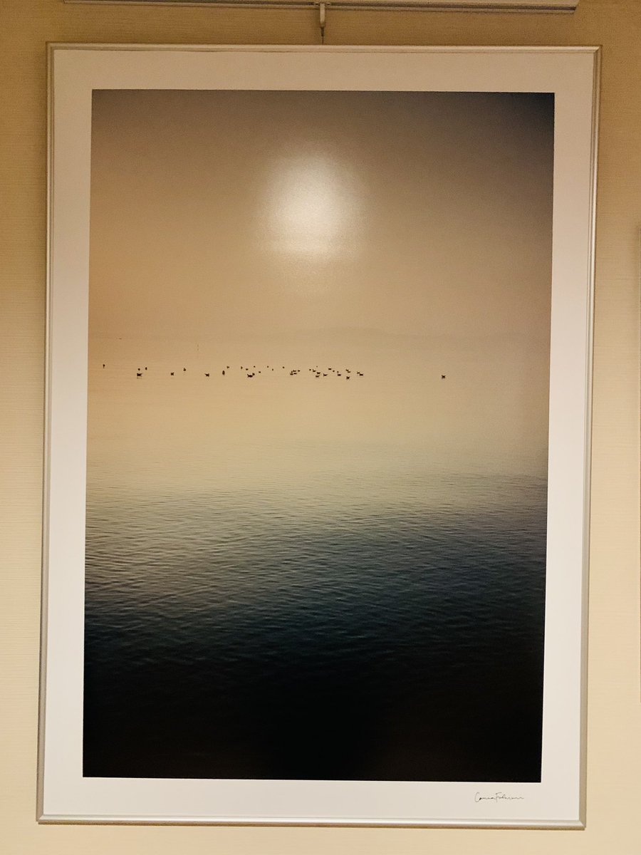 お迎えしました！早朝の琵琶湖の写真だそうで、グラデーションがとても綺麗😃大事にします…！ https://t.co/KFKfLb2qZO