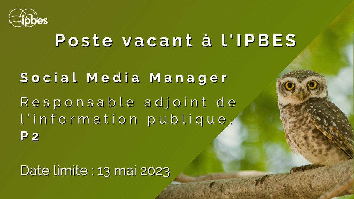 NOUS RECRUTONS !💥

🌻Aimez-vous la #biodiversité & vous voulez communiquer la science #PourLaNature ?

💻Avez-vous une expérience professionnelle ds la gestion des #SocialMedia ?

🦉Cette opportunité est pour vous!

Postulez avant le 13 MAI⬇️

careers.un.org/lbw/jobdetail.… #UNCareers