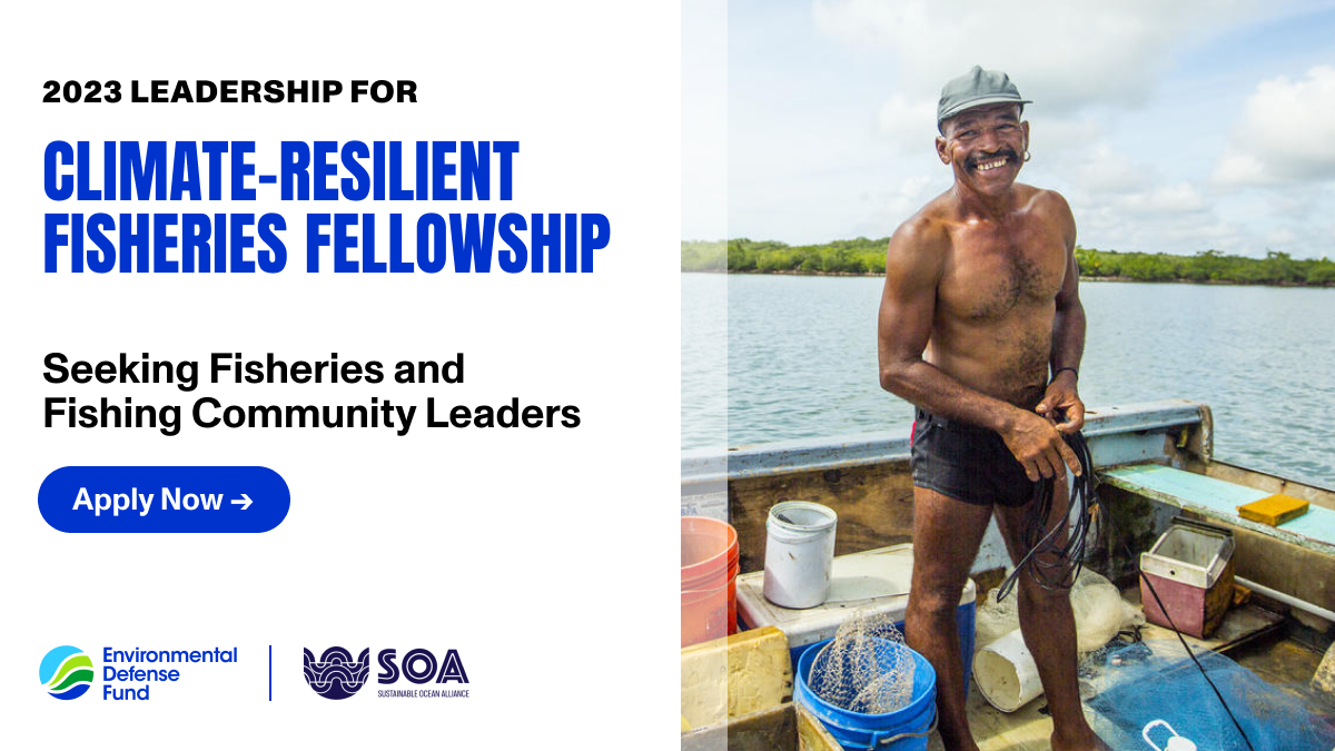 Are you a young and aspiring changemaker professional in sustainable #fisheries? We are partnering with @soalliance for the third consecutive year, launching the 2023 Leadership for Climate-Resilient Fisheries Fellowship! Learn more and apply here: bit.ly/lcrf-2023