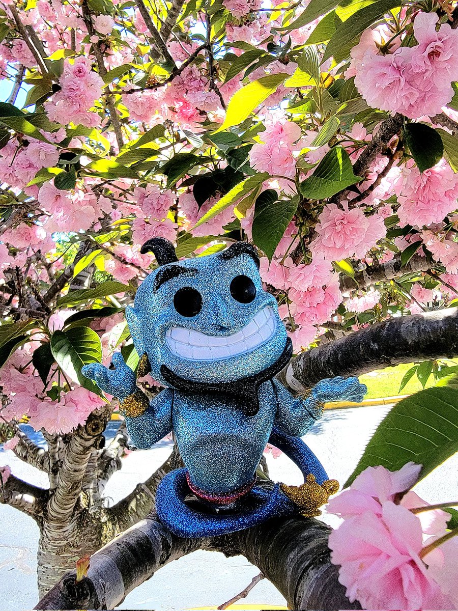 PopsZuri's tweet photo. Genie granting springtime wishes ✨️ 
#Aladdin #Genie #funko #springtime #SpringBreak https://t.co/h8e5qvERVH