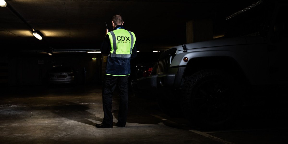 CDX Security Group tweet media