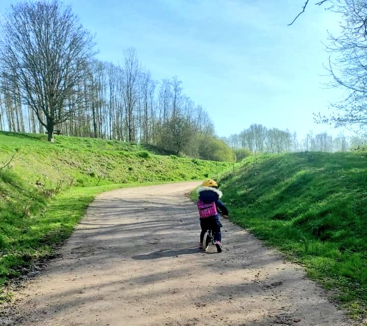 Marianne tweet media