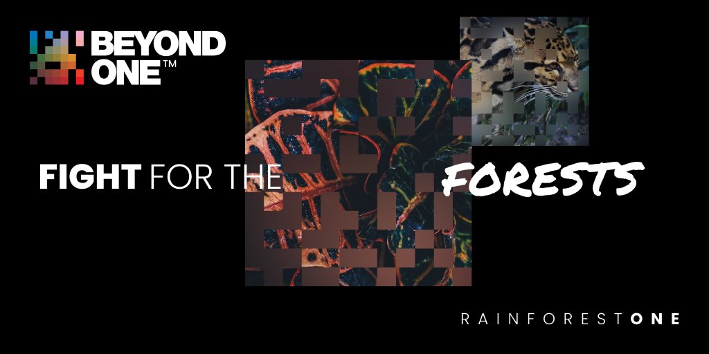 _beyond_one_'s tweet photo. Planting trees is fine. In fact, we do a lot of it. But the carbon captured is miniscule in comparison to the tones and tones that are stored within RainforestONE. Saving rainforests is priority one. Creating new forests is priority two.
Link in Bio to find out more! https://t.co/RDHN2cmuvR