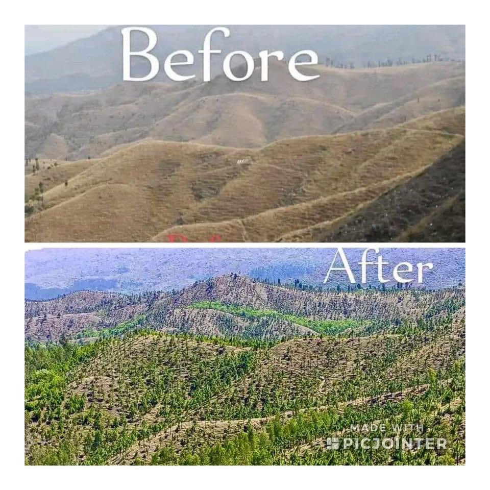 Saboorkhanpti's tweet photo. Agror in KP - part of our #BillionTreeTsunami programme. For the first time, the greening of Pakistan happened on such a massive scale.
#PTISMT #IKUPDATES #ikupdates #زمان_پارک_پُہنچو #چلو_چلو_مینار_پاکستان_چلو #کپتان_کی_گرفتاری_پڑے_گی_بھاری #عمران_خان_ہماری_ریڈ_لاین_ہے https://t.co/wmiX8cxAPb