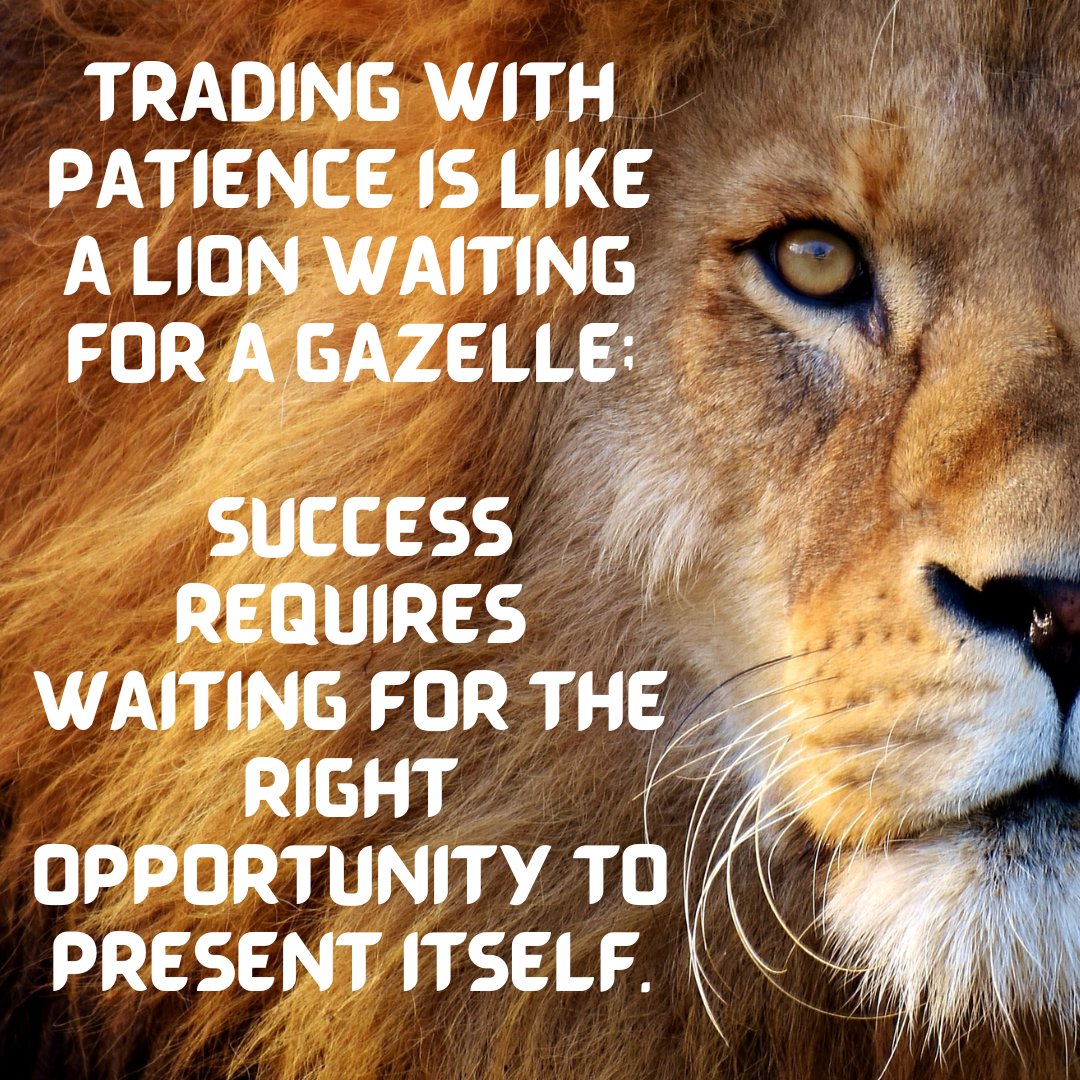 RookiesTrade's tweet photo. Trading with patience is like a lion waiting for a gazelle; success requires waiting for the right opportunity to present itself. https://t.co/jEe5FIKu8j