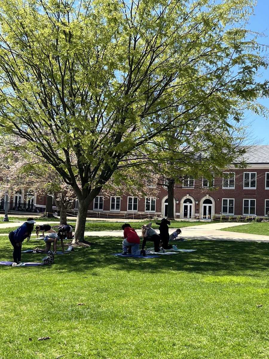 WyoSpartansPE's tweet photo. Find me a better spot for yoga on campus #mindandbodyconnection https://t.co/8rsFYJp91w