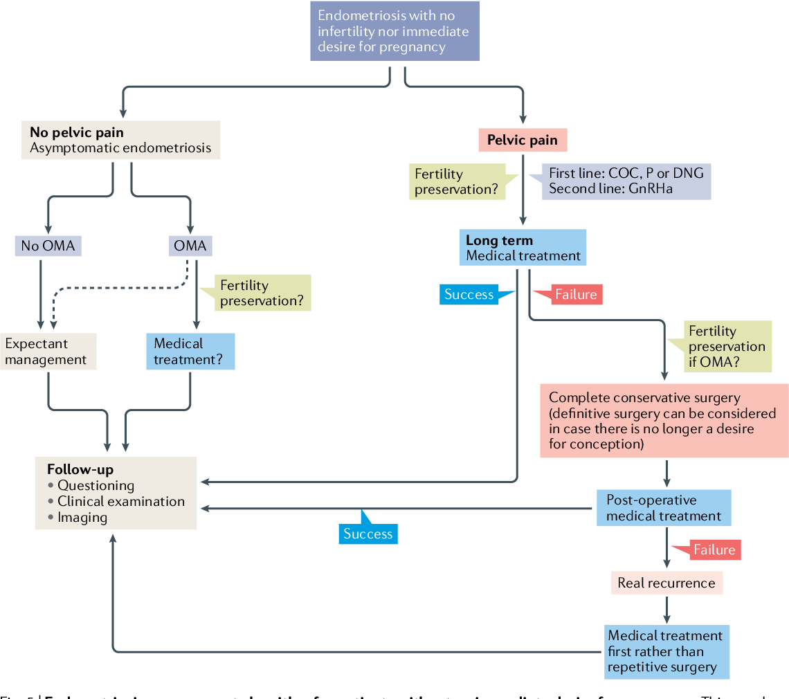 doctorneyro's tweet image. No están #locas.

Si una #mujer dice que tiene #dolorpélvico es que le #duele.

La #reglanoduele, #lavidanoduele.

Si sucede, es que #pasaalgo.

Más #empatía, menos #desidia con la #endometriosis.

neyro.com/2019/12/17/dej…