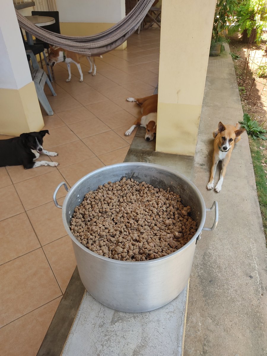 Hoy 13/abril, lista la Olla Solidaria, para la Jornada de Alimentación del Programa Lucas Ramón Cambiando Vidas. Estaremos en El Valle del Espíritu Santo. Gracias a Dios y La Virgen. Gracias a nuestro padrino <a href="/FRAENKELE/">FRAENKEL ESCALANTE</a>, <a href="/LeidyCarpio1980/">@leidycarpio1980</a>