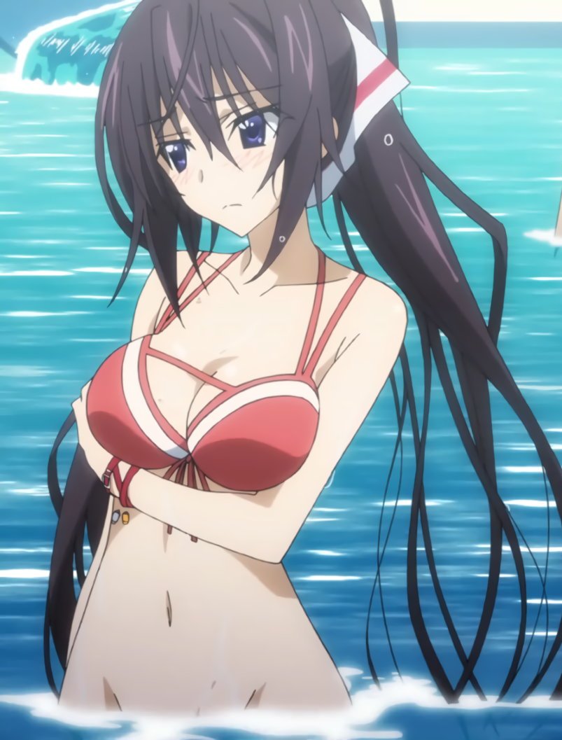 IS (Infinite Stratos) Houki Shinonono