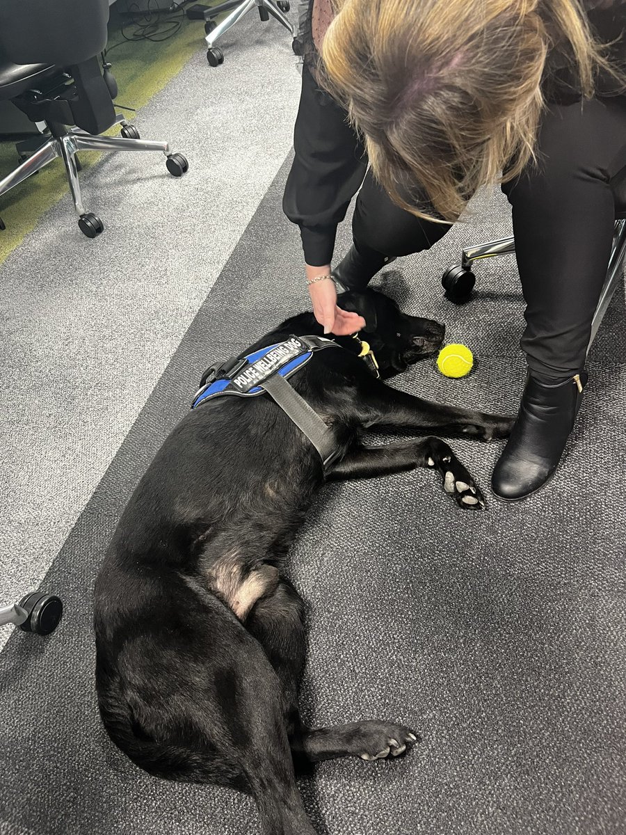 liam_garnett's tweet photo. A really useful visit with @NEAmbulance EOC & @NEAS_EPRR colleagues to @Ldn_Ambulance hosted by @LAS_TacAdvisor Kam! Looking at all things EPRR and even getting to have some time with the @metpoliceuk Welfare Police Dog!
#WorkingTogether #SharedLearning #Jessip https://t.co/1zu7lVPGBa