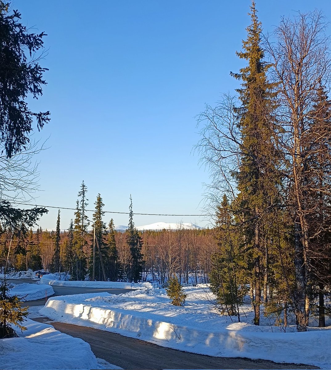 Anssi Koirikivi tweet media