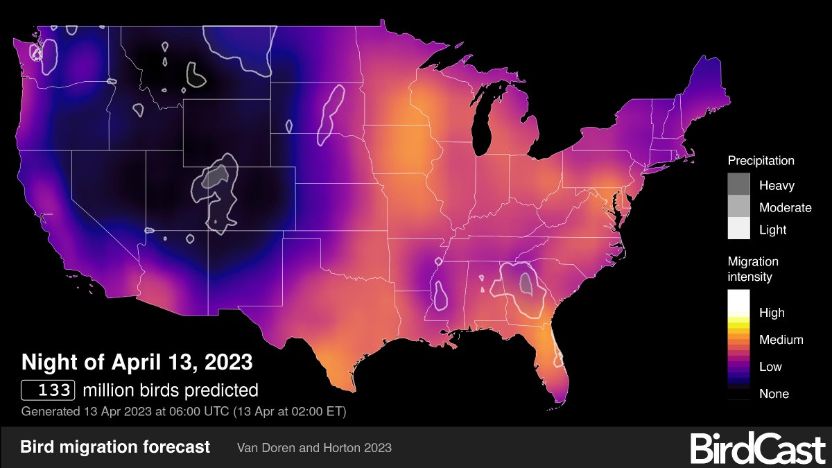 It's go time folks! Migration is happening and the birds are moving!  Tonight, an estimated 133 million birds will be migrating! If you haven't explored BirdCast before, you should check this amazing tool out: birdcast.info  <a href="/DrBirdCast/">Team BirdCast</a>