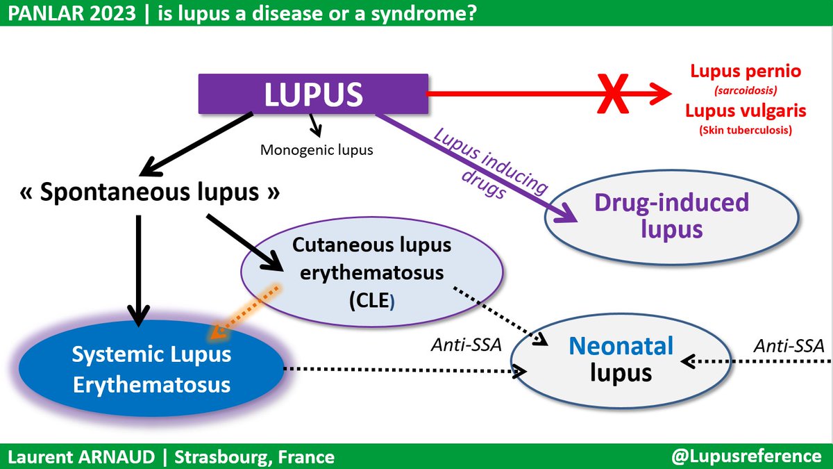 Lupusreference's tweet photo. ✅ #LUPUS is a heterogeneous disease. The disease spectrum includes Cutaneous #lupus (CLE), systemic #Lupus (#SLE), neonatal lupus (associated with anti-SSA), drug-induced CLE &amp; SLE, rare monogenic lupus etc... 
#PANLAR2023 https://t.co/wpdakqWQAn