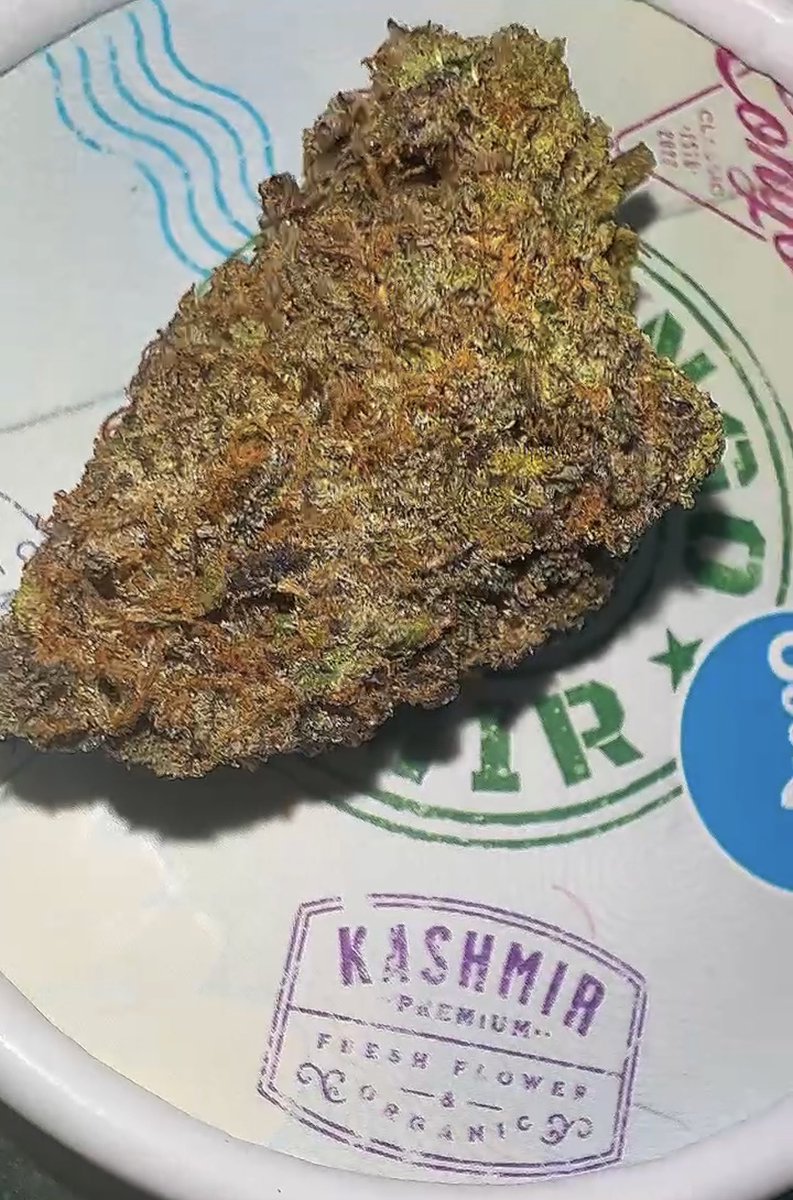 TheUsualSuspecs's tweet photo. NEW @cookiesglobal drop #CongoKashmir in the flower tub 24% THC straight gas ๐ฅ๐ฅ๐จ #SmokeWithTUS @berner415 @maywoodscookies @LemonnadeLakeE https://t.co/QF3c5V2XVz