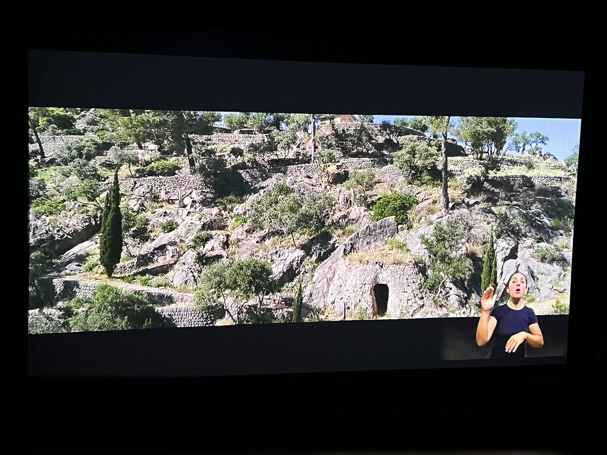 SoundWave2008's tweet photo. Documental Collidores d’Oliva https://t.co/wkH0r8InK4