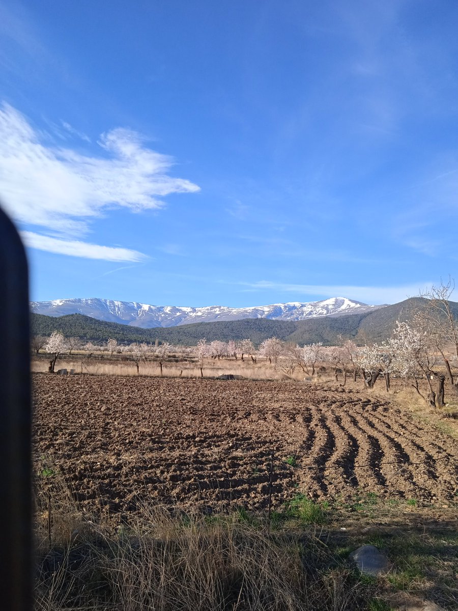 I often spend time near the Landscape Case Study in Southern spain ! 
I am very happy that @benchmarks_eu is working here with @AlVelAl_4R
soilhealthbenchmarks.eu/case-studies/