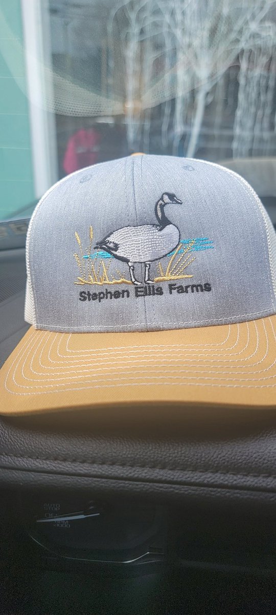 Stephen Ellis OG tweet media