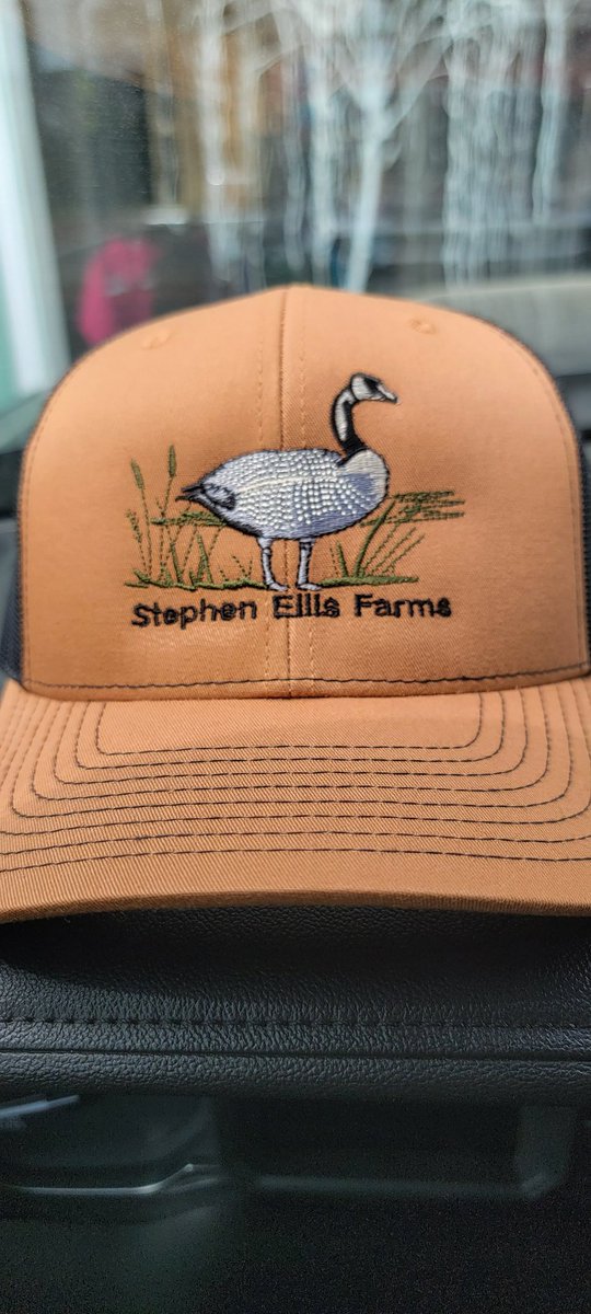 Stephen Ellis OG tweet media