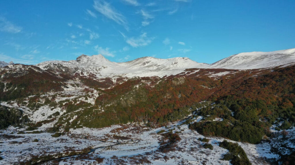 Centro Internacional Cabo de Hornos (CHIC) tweet media