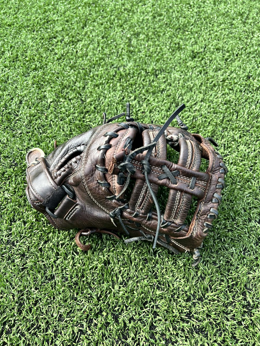 UNG Softball tweet media