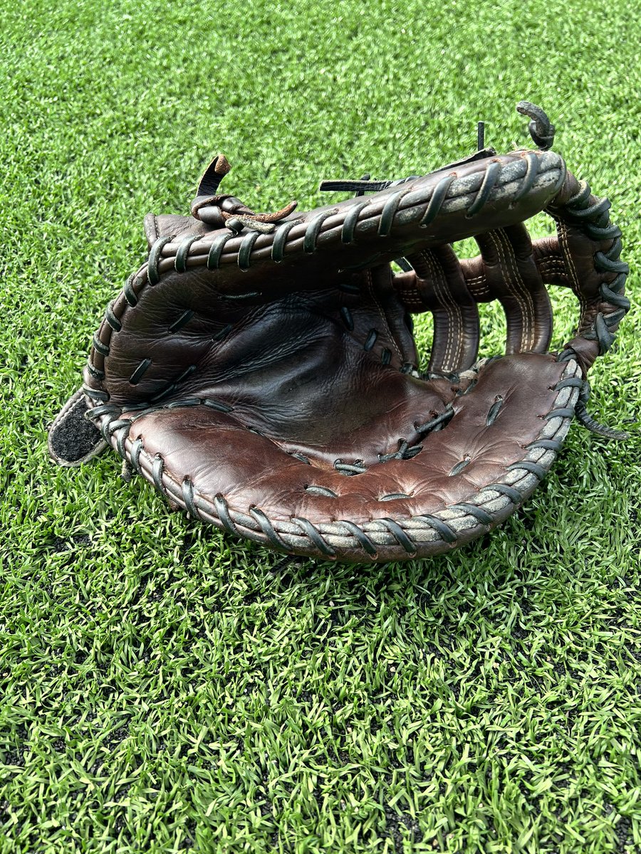 UNG Softball tweet media